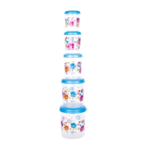 2446 Plastic Transparent Container Air Tight Dabba Set (3000ml, 2000ml, 1000ml, 750ml, 500ml)