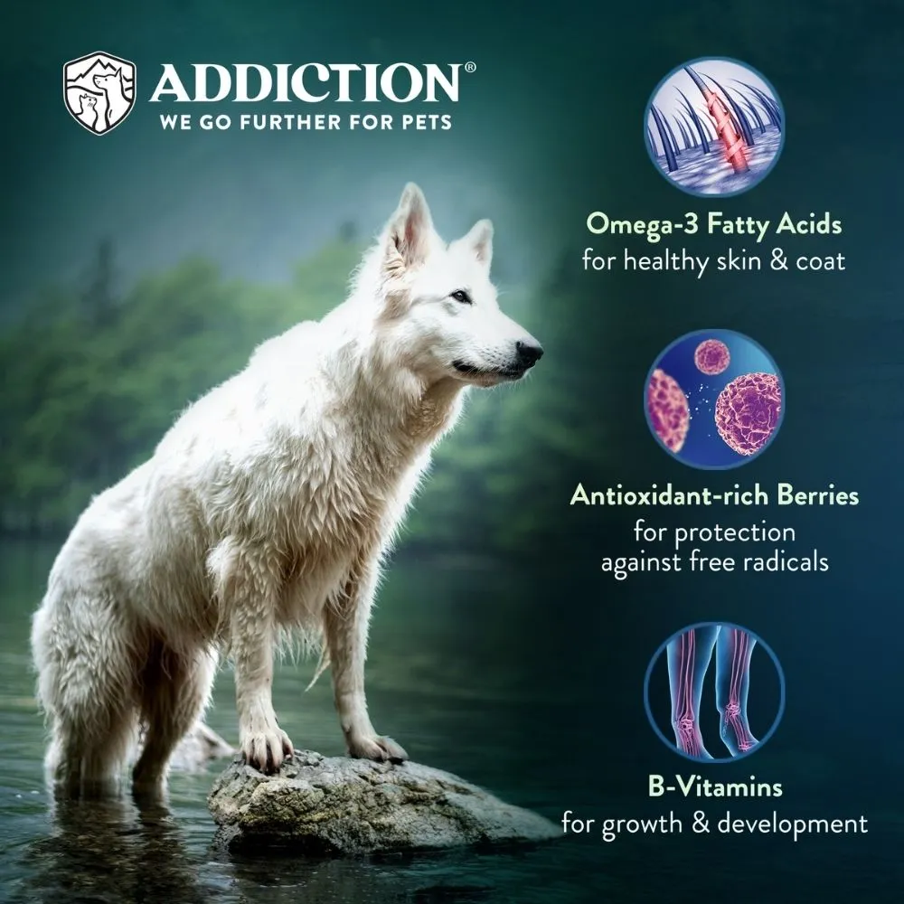 25% OFF/BUNDLE DEAL: Addiction Salmon Bleu Grain-Free Dry Dog Food