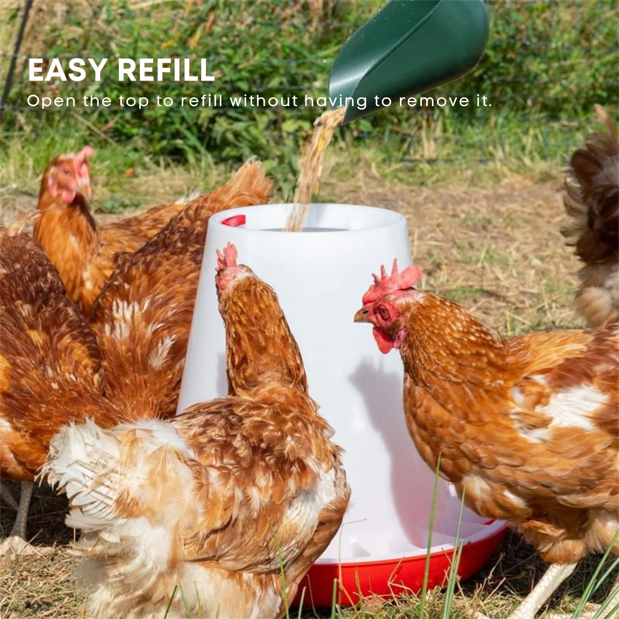 6kg Automatic Chicken Feeder, Anti-Waste Plastic