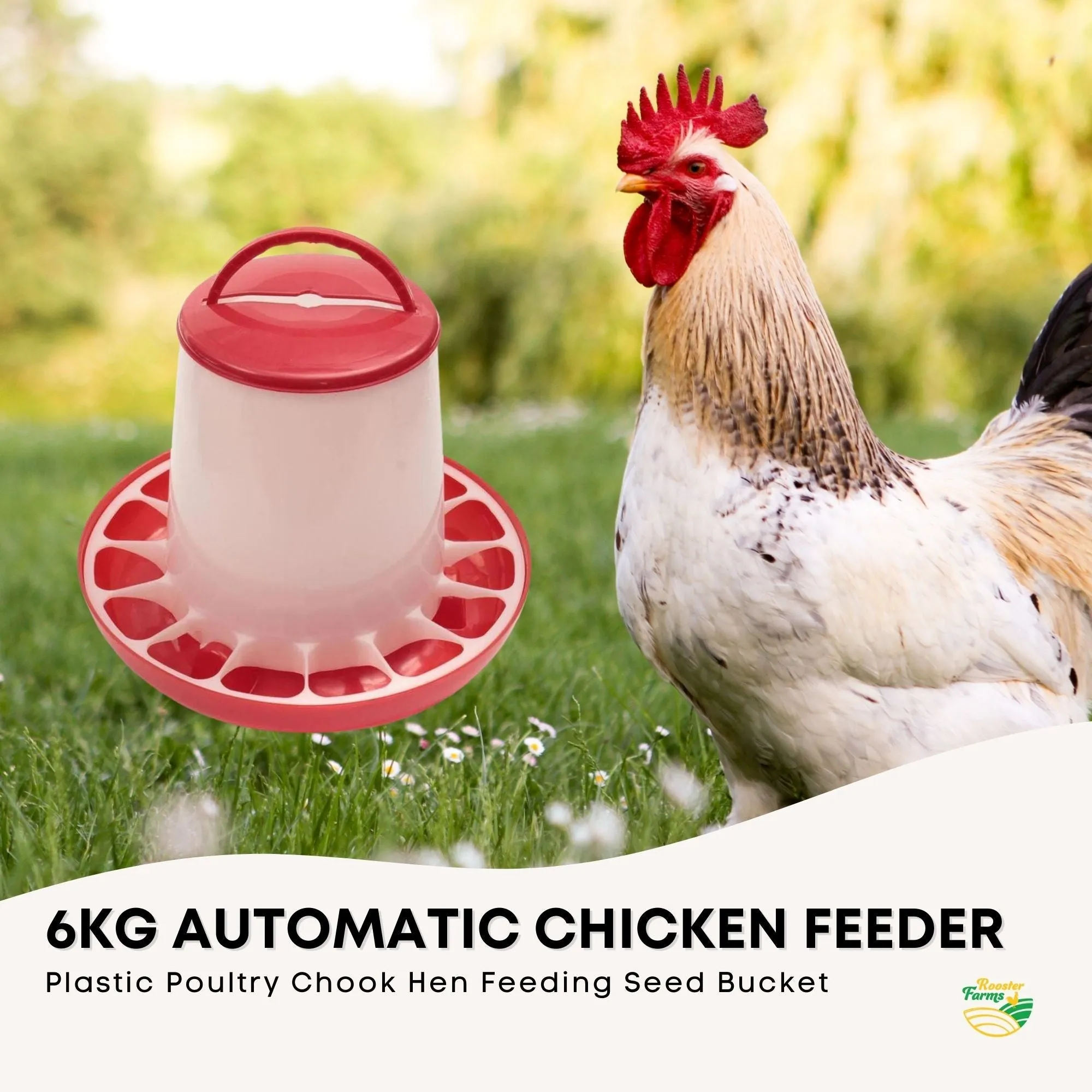 6kg Automatic Chicken Feeder, Anti-Waste Plastic