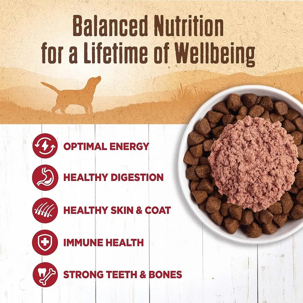 95% Beef Grain Free Dog Can