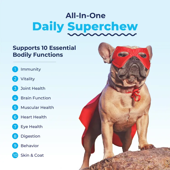 Activebliss All-In-One Daily Superchews