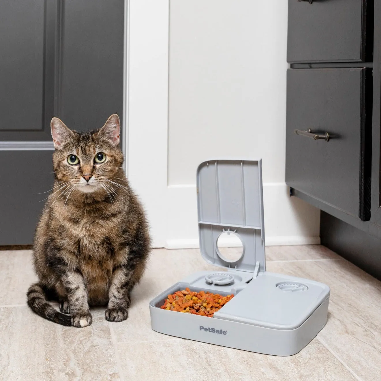 Automatic 2 Meal Pet Feeder