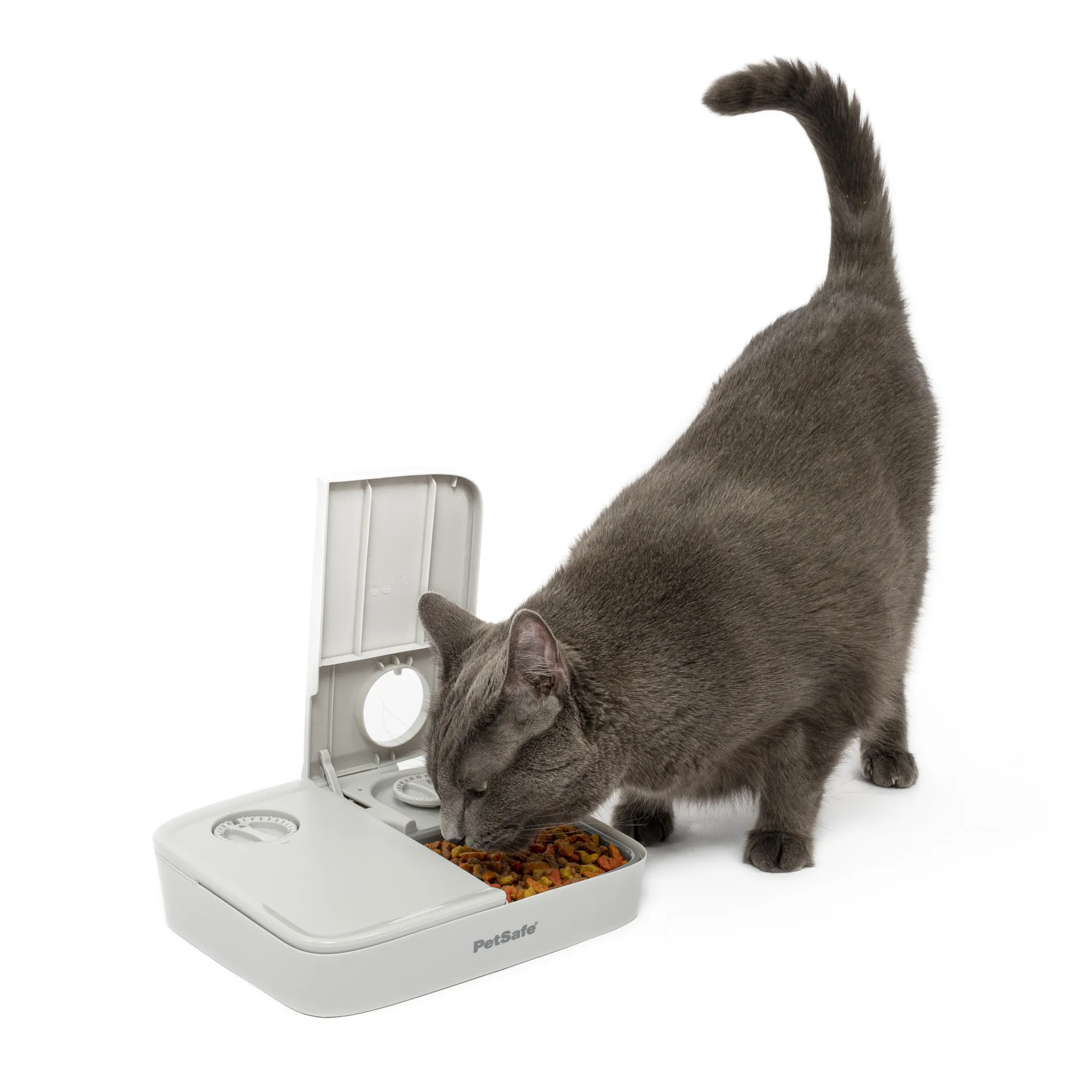 Automatic 2 Meal Pet Feeder