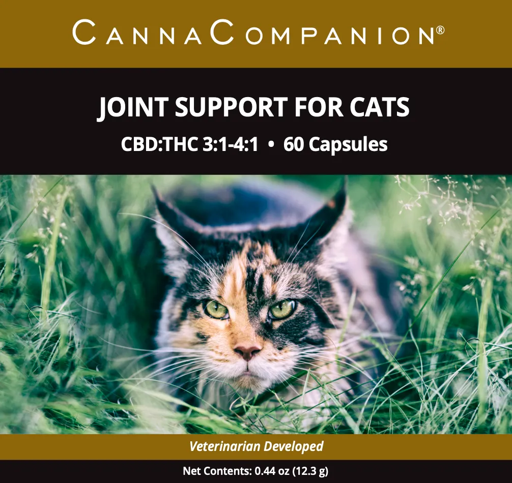 Canna Companion™ Hemp Supplement for Cats - Regular Strength with additional CBDs to support Joint Health