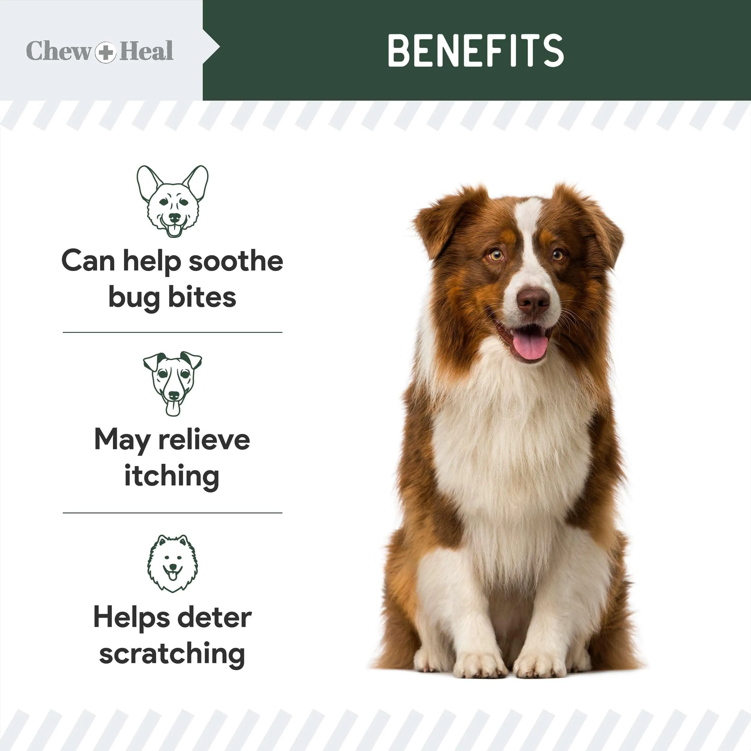 Chew   Heal Hydrocortisone Lotion for Dogs - 4 oz Anti Itch Cream for Irritated Skin