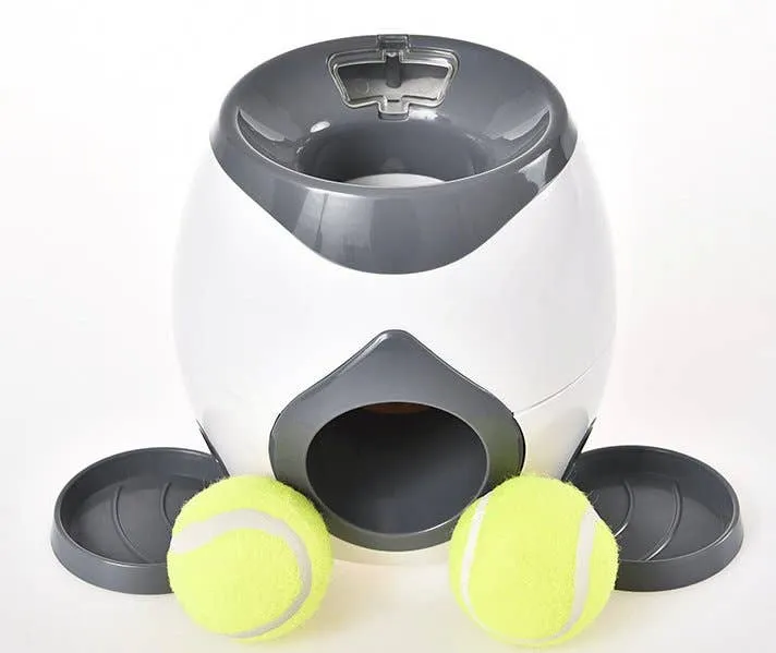 Dog Hugs Cat Automatic Pet Training and Feeding System