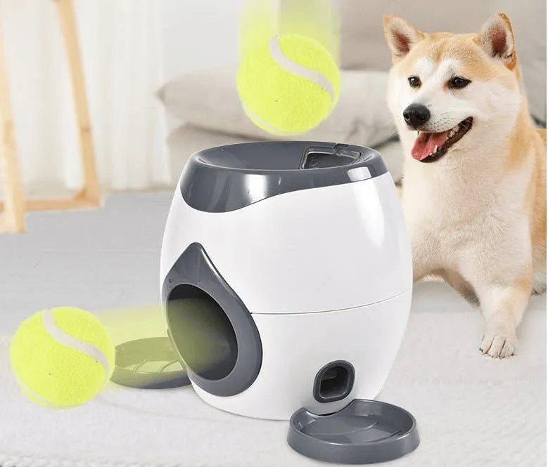 Dog Hugs Cat Automatic Pet Training and Feeding System