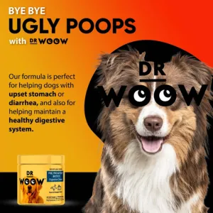 DR WOOW Duck & Pumpkin Flavor Pre, Pro & Post Biotics Soft Chew Digestive Supplement for Dogs, 90 Count