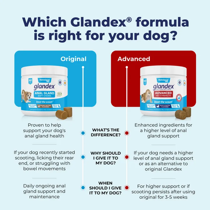 Glandex® Advanced Medicated Anal Gland Chews for Dogs