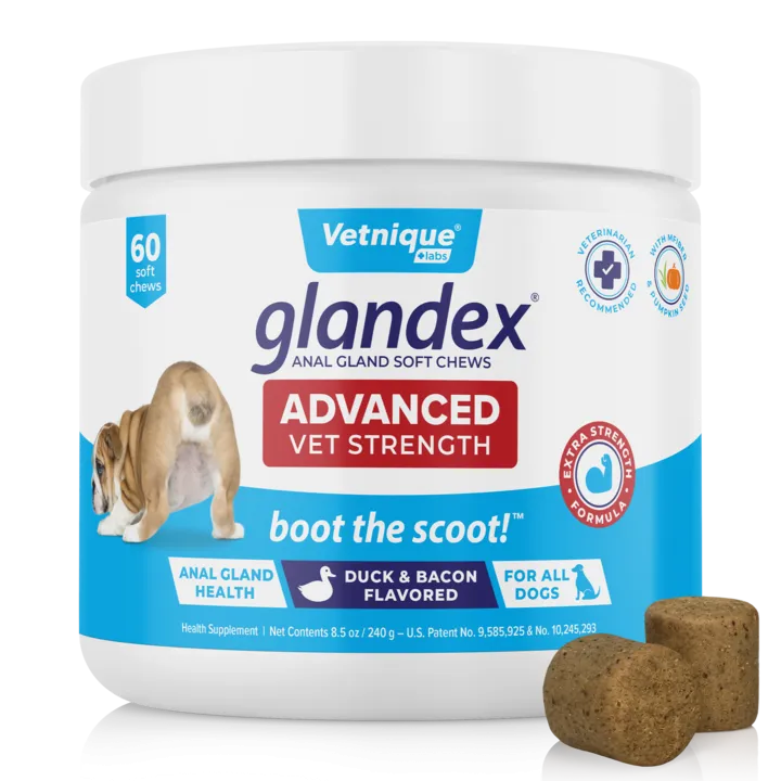 Glandex® Advanced Medicated Anal Gland Chews for Dogs