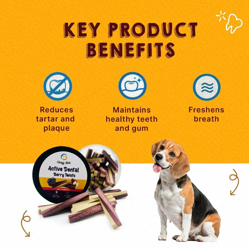 Goofy Tails Active Dental Sticks | Dog Treats Non-Vegetarian | Dental Sticks for Dogs (Blueberry & Apple)