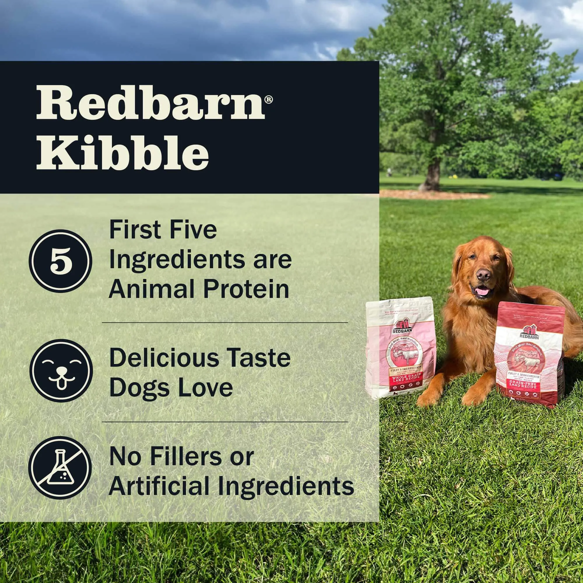 Grain-Free Land Recipe Dog Food