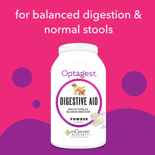 InClover Optagest Plant Based Prebiotics & Digestive Enzymes for Dogs & Cats