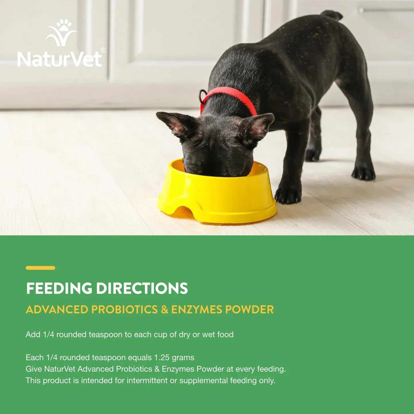 NaturVet Advanced Probiotics & Enzymes   PB6 Powder