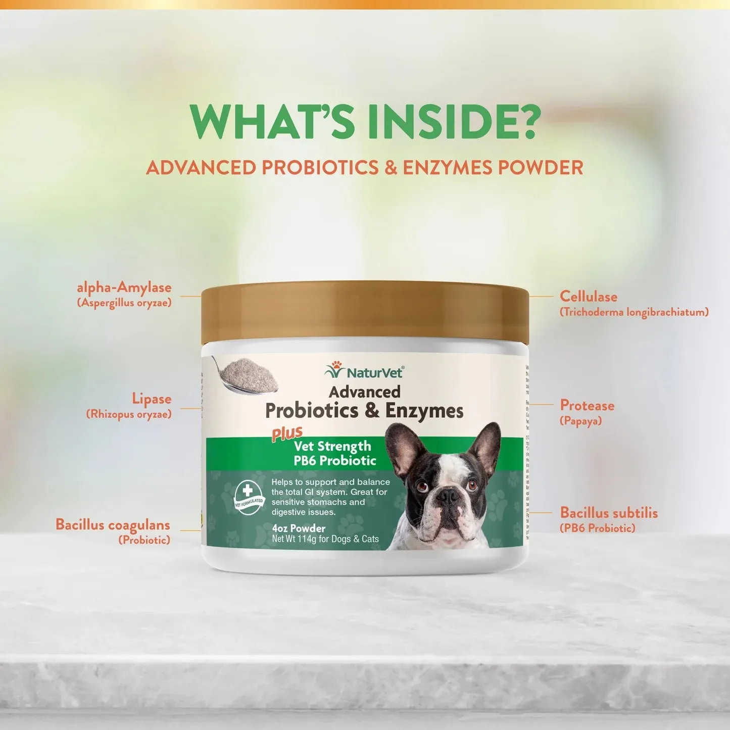 NaturVet Advanced Probiotics & Enzymes   PB6 Powder