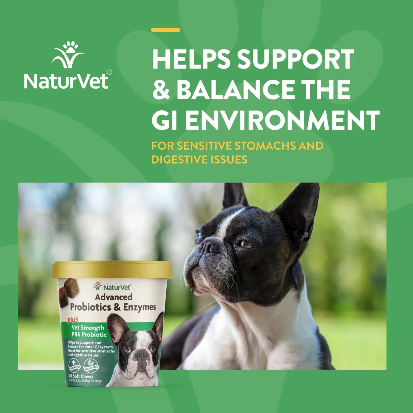 NaturVet Advanced Probiotics & Enzymes Plus Vet Strength PB6 Probiotic Soft Chews