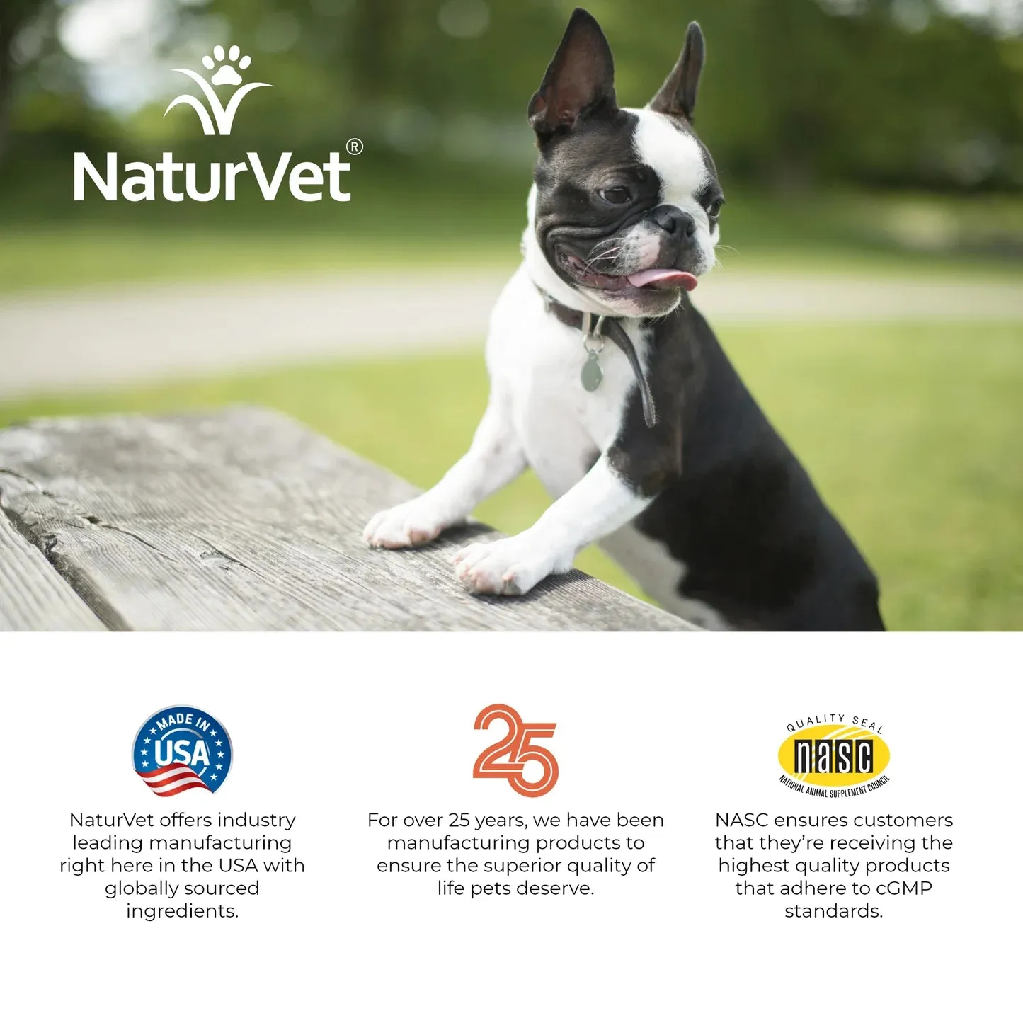 Naturvet Advanced Probiotics & Enzymes   Vet Strength PB6 Probiotic Soft Chew Dog Supplement (70 Count)