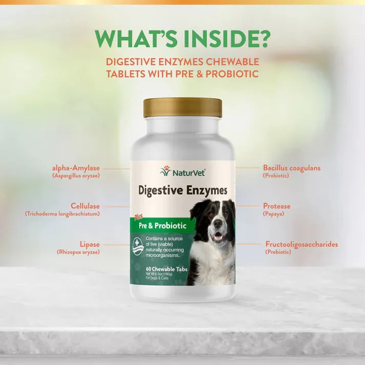 NaturVet Digestive Enzymes Plus Pre and Probiotic Soft Chews