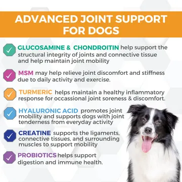 Nootie Progility Hip & Joint Soft Chew Supplement for Dogs