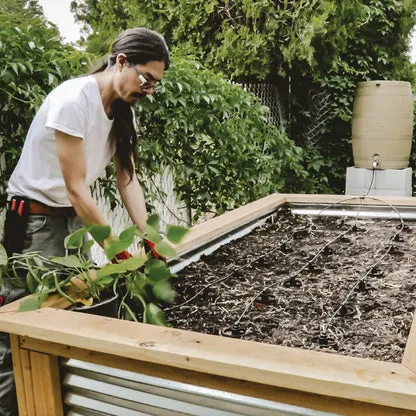 Olla Watering Kit