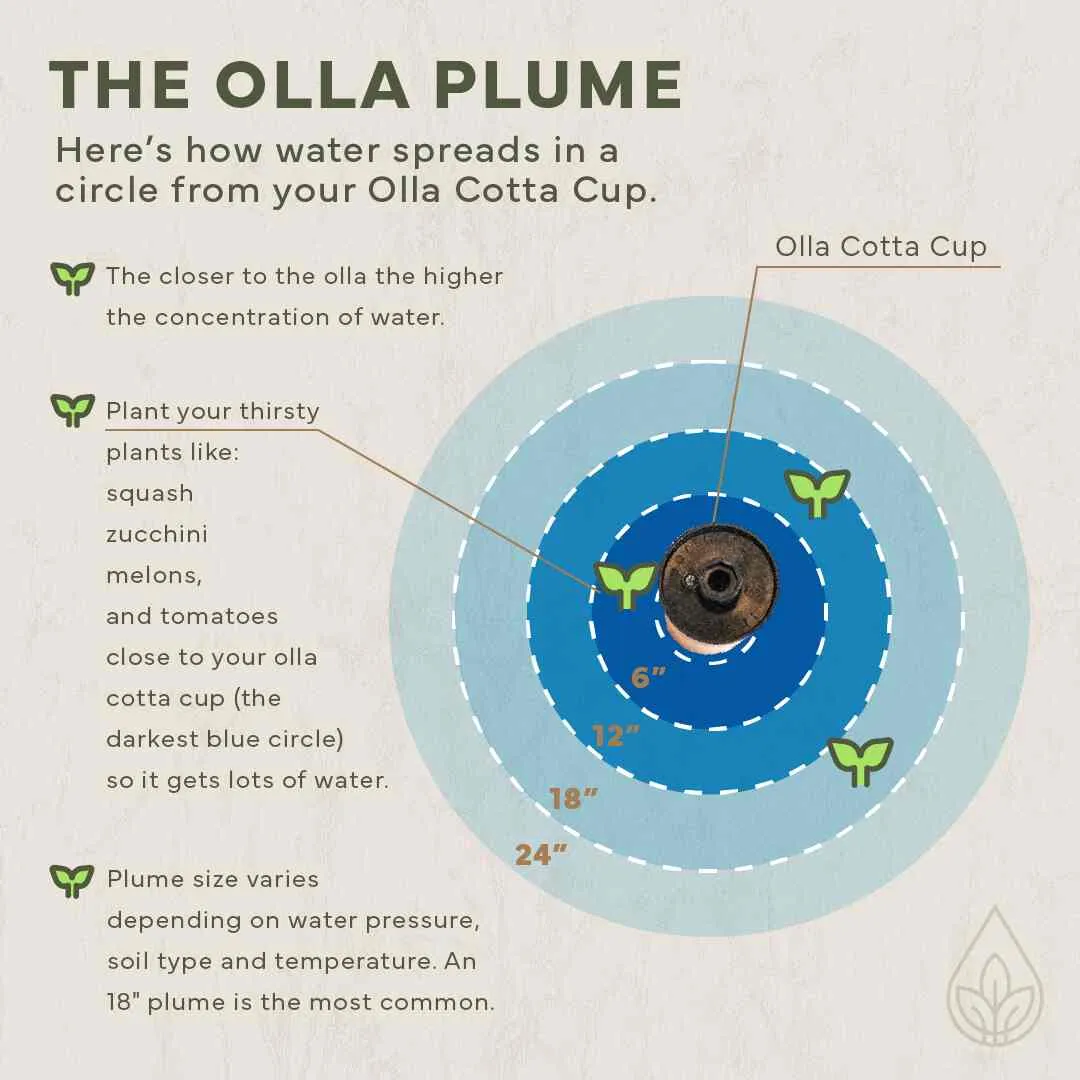 Olla Watering Kit