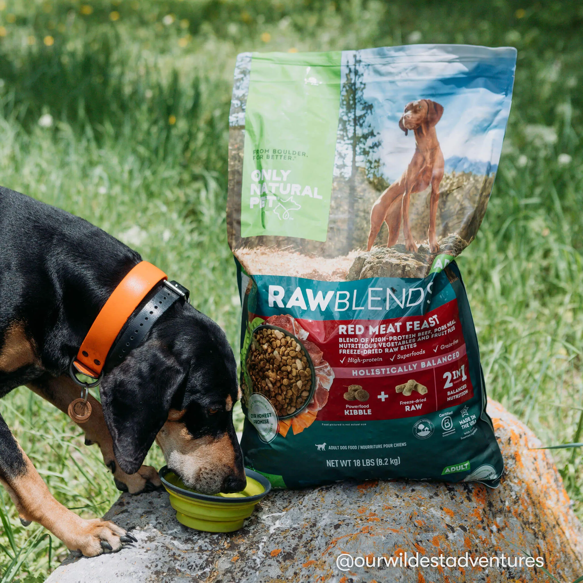 Only Natural Pet Raw Blends Red Meat Feast Raw Grain Free Dog Food