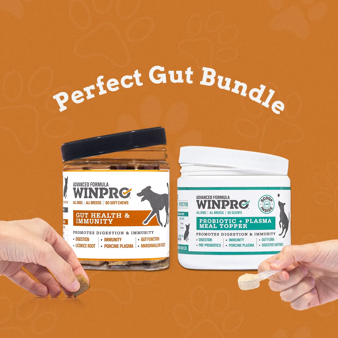 Perfect Gut Bundle