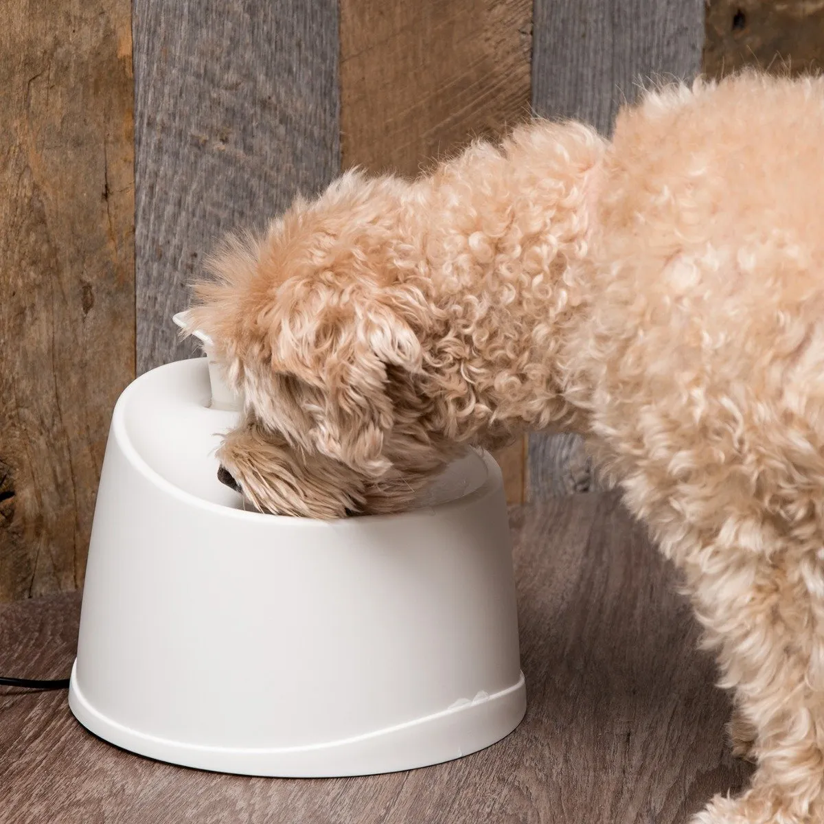 Pet Water Fountain