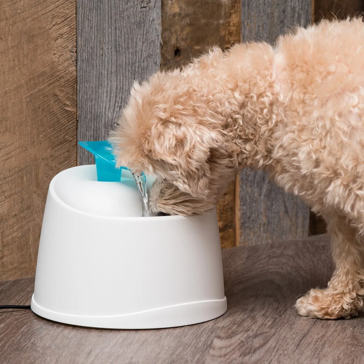 Pet Water Fountain