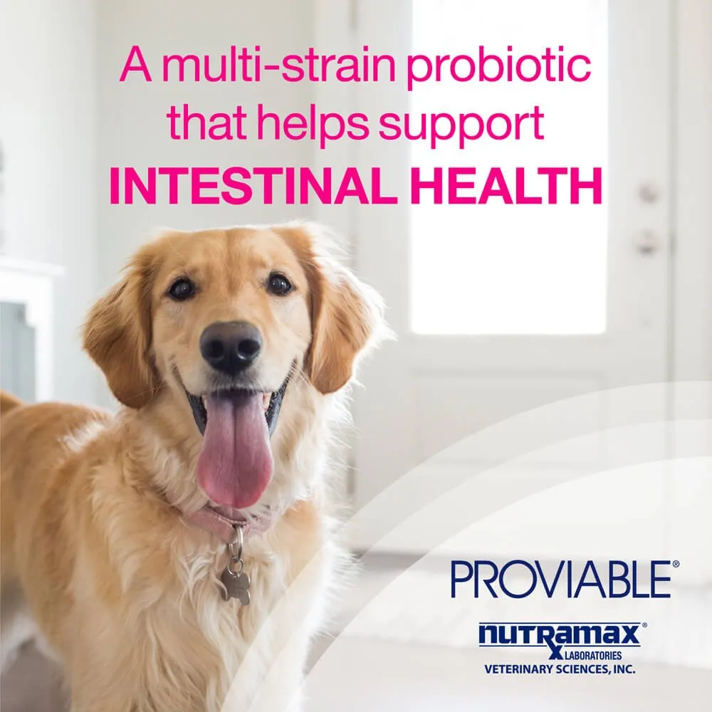 Proviable-KP/DC Kit for Medium and Large Dogs, 30 mL Paste/10 Capsules