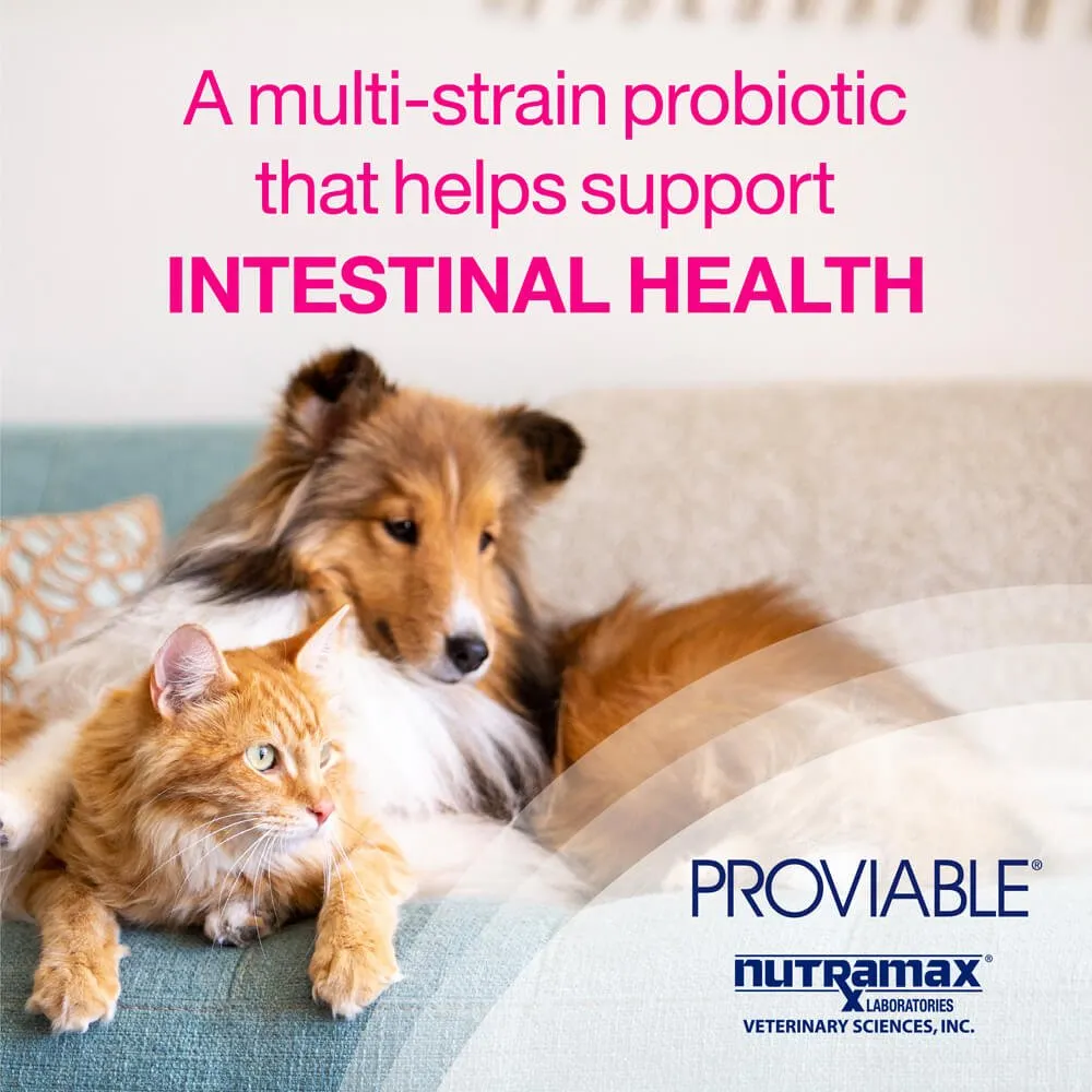 Proviable-KP/DC Kit for Small Dogs and Cats, 15 mL Paste/10 Capsules