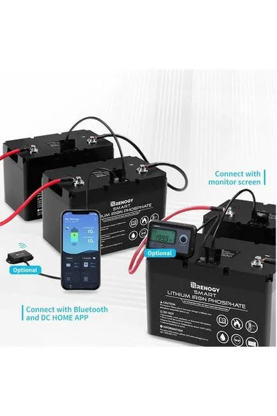 Renogy 12V 100Ah Lithium Iron Phosphate Battery with Self Heating Function