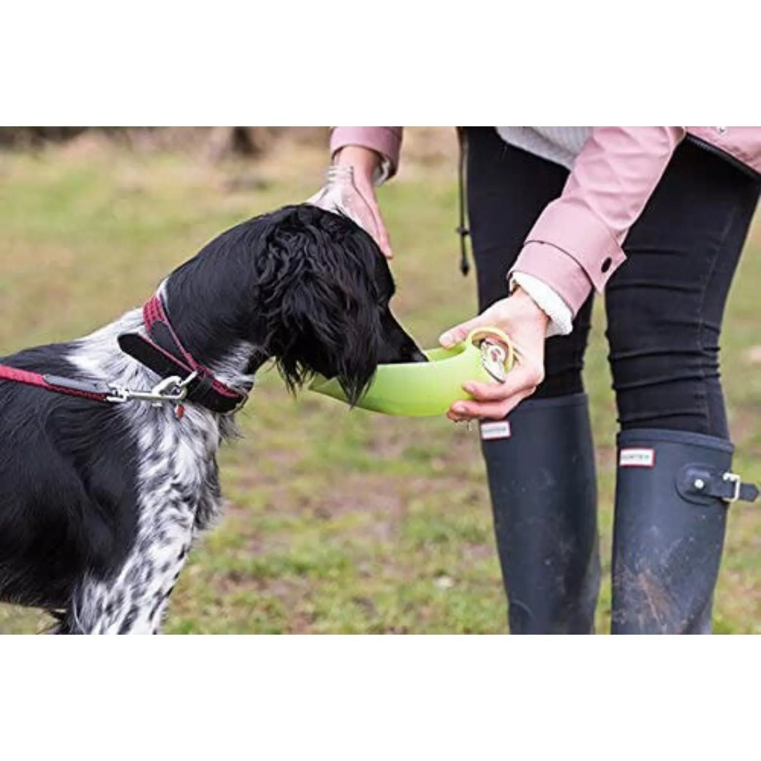 Rosewood Portable Travel Water Bottle For Dogs & Cats