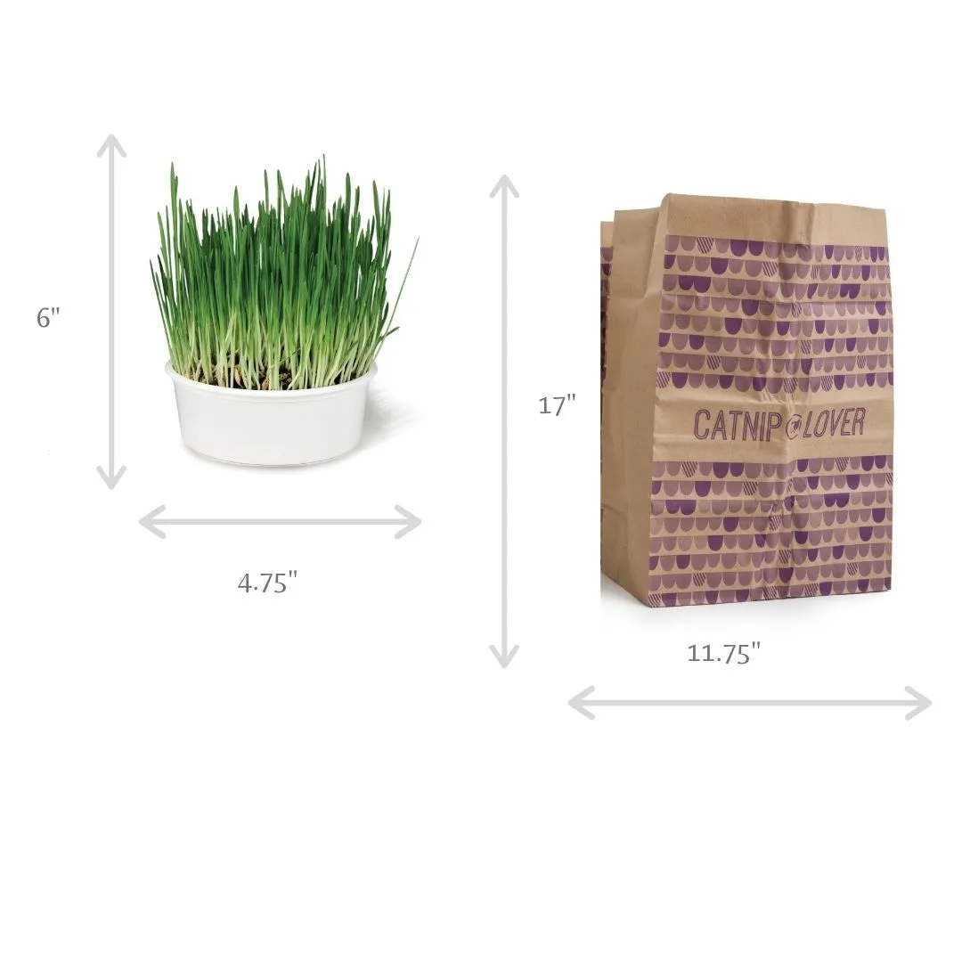 SmartyKat - (5-Set Bundle) Catnip Caves Infused Cat Hideout & Sweet Greens Cat Grass Grow Kit