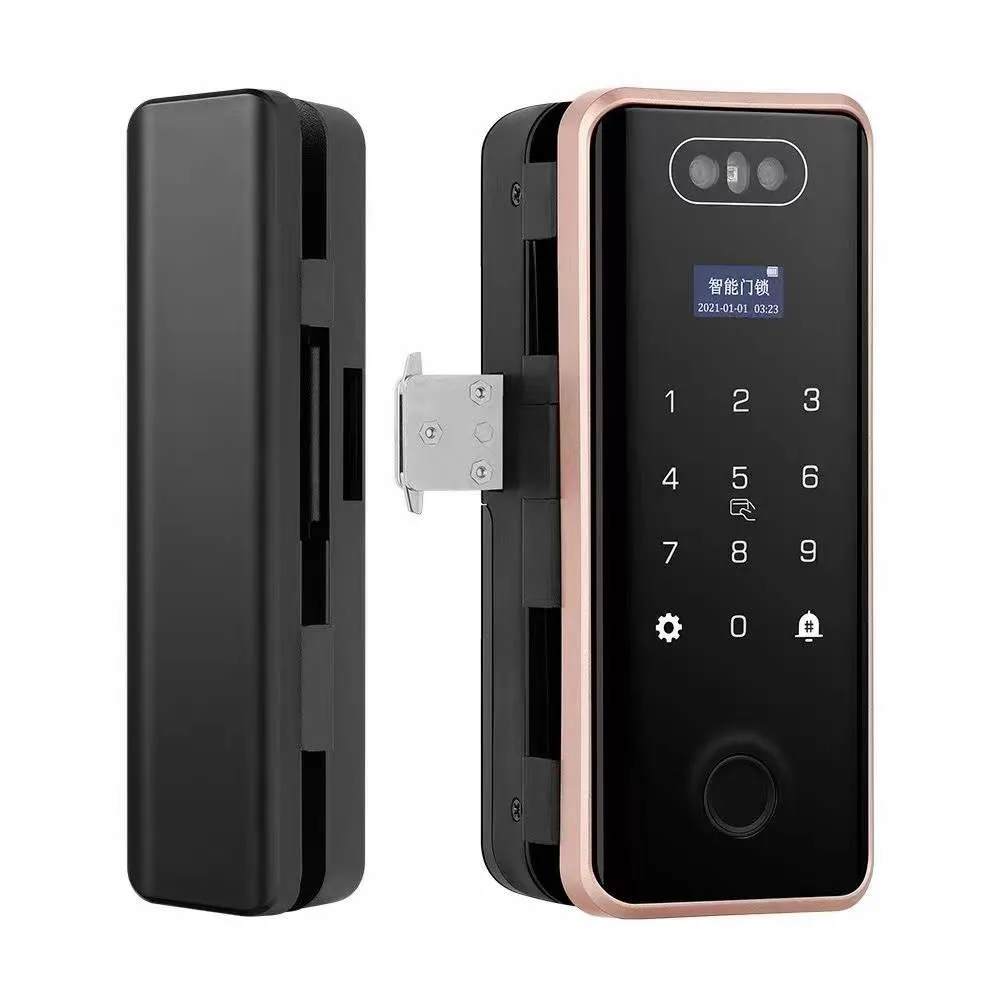 SPACE |  Smart Glass Door Lock With Face Recognition Fingerprint Passcode Mobile App And Card Unlocking Mode