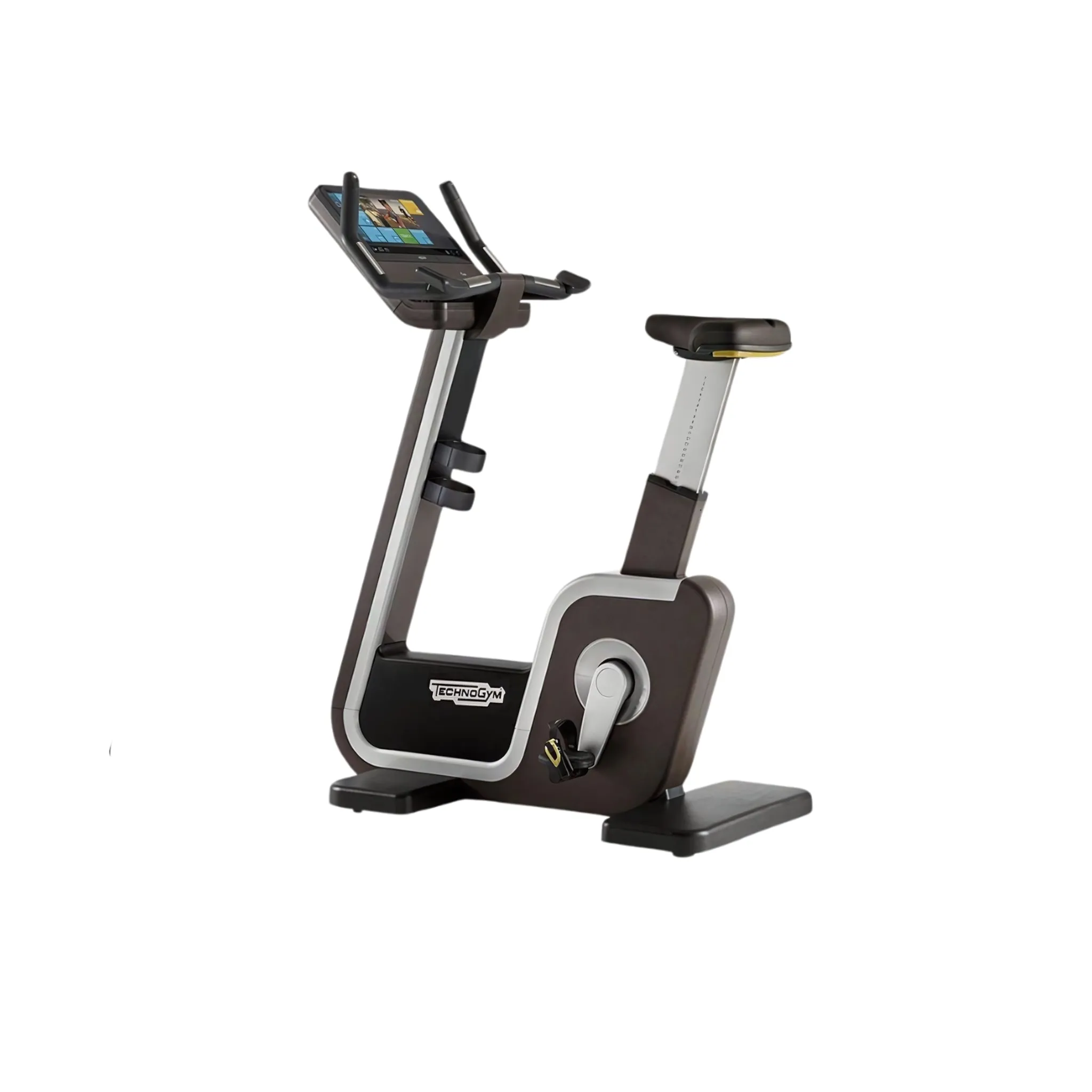 Technogym Bike Artis