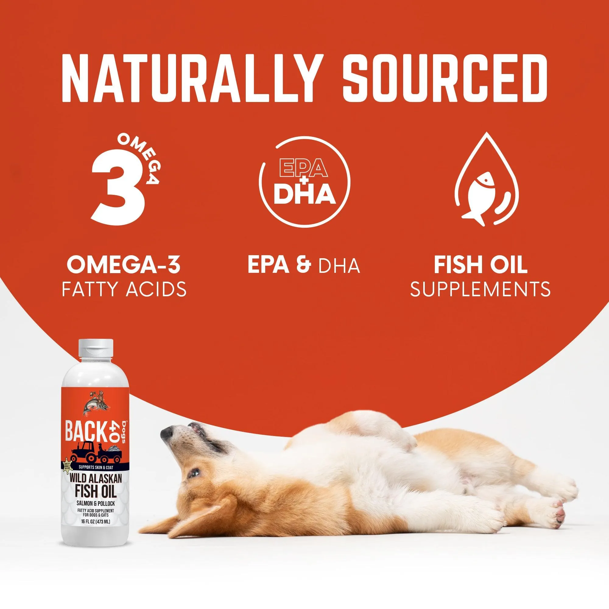 Wild Alaskan Fish Oil for Dogs, Skin and Coat Supplement - 16oz by BACK 40 Dogs