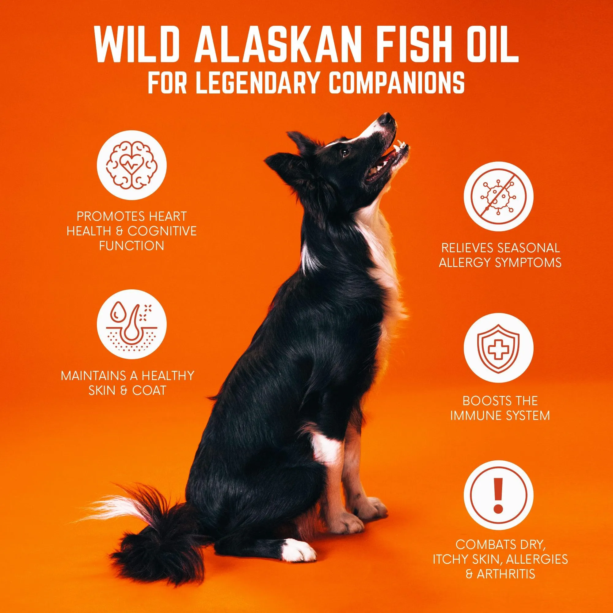 Wild Alaskan Fish Oil for Dogs, Skin and Coat Supplement - 16oz by BACK 40 Dogs