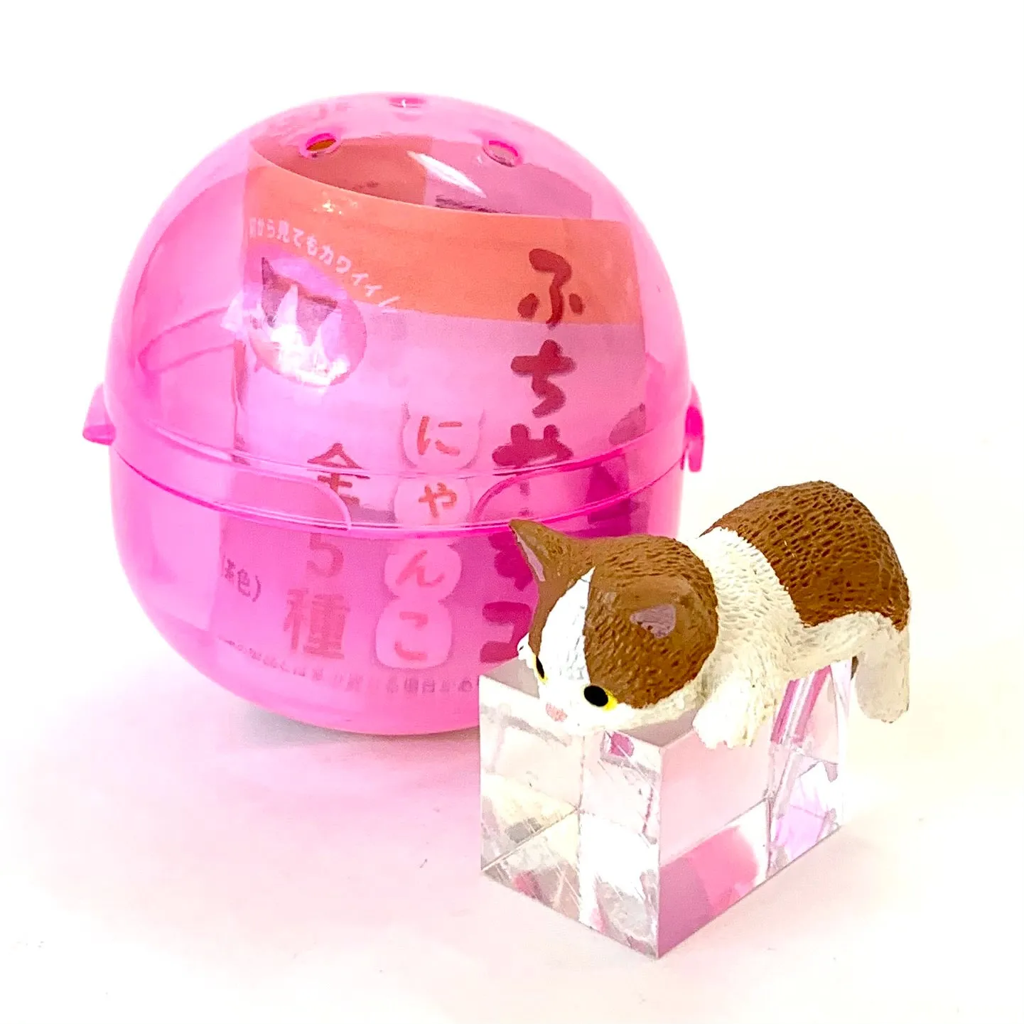 X 70806 PLAYFUL HANGING CATS CAPSULE-DISCONTINUED