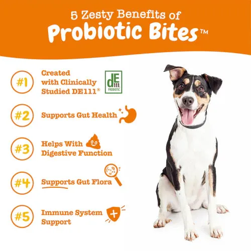 Zesty Paws Probiotic Bites Gut Supplements for Dogs (Chicken Flavour)