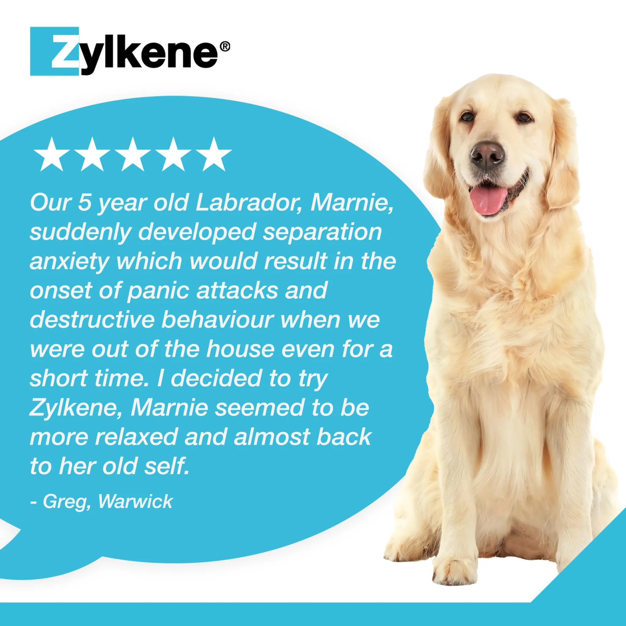 Zylkene Calming Supplement for Dogs 10-30kg - 225mg