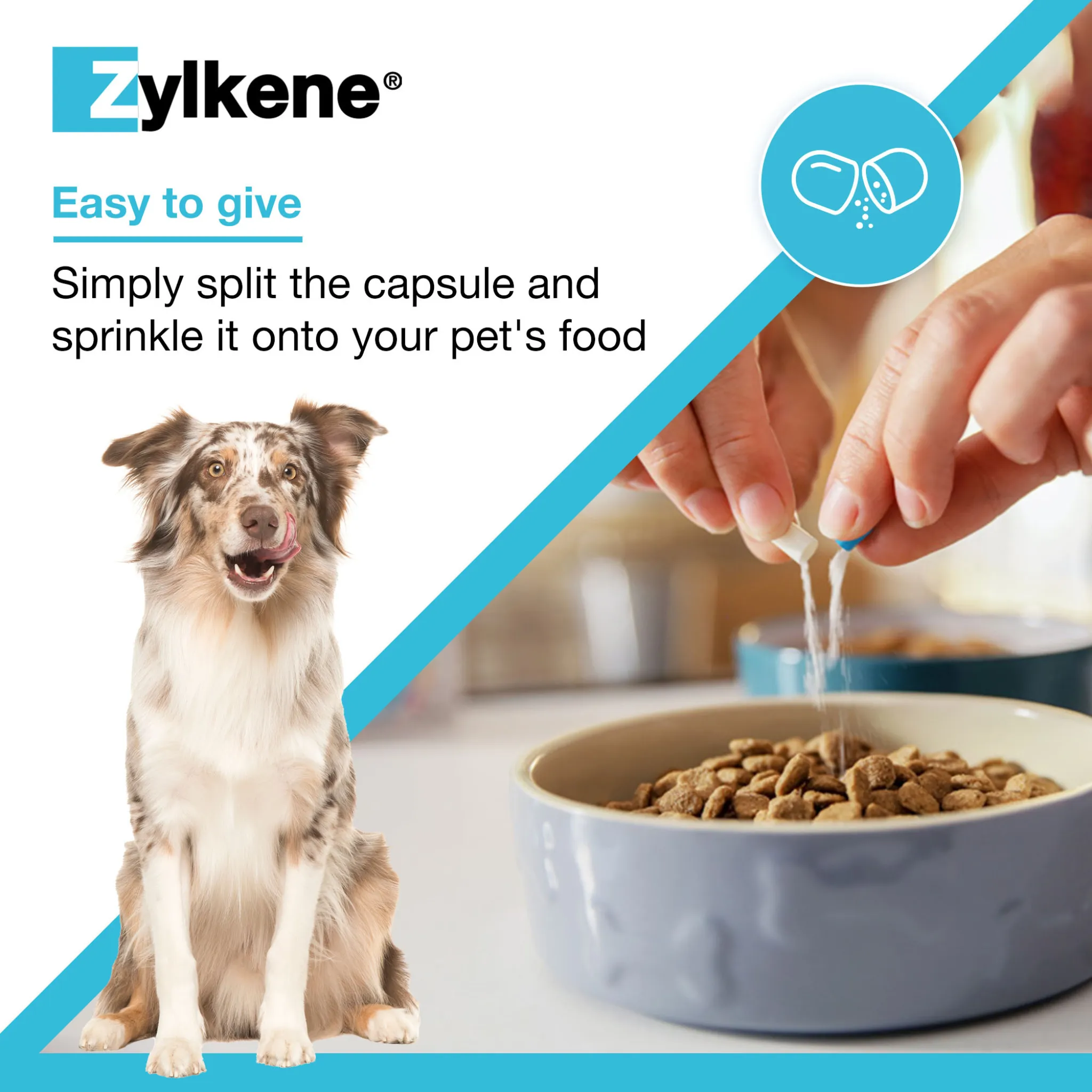 Zylkene Calming Supplement for Dogs 30-60kg - 450mg